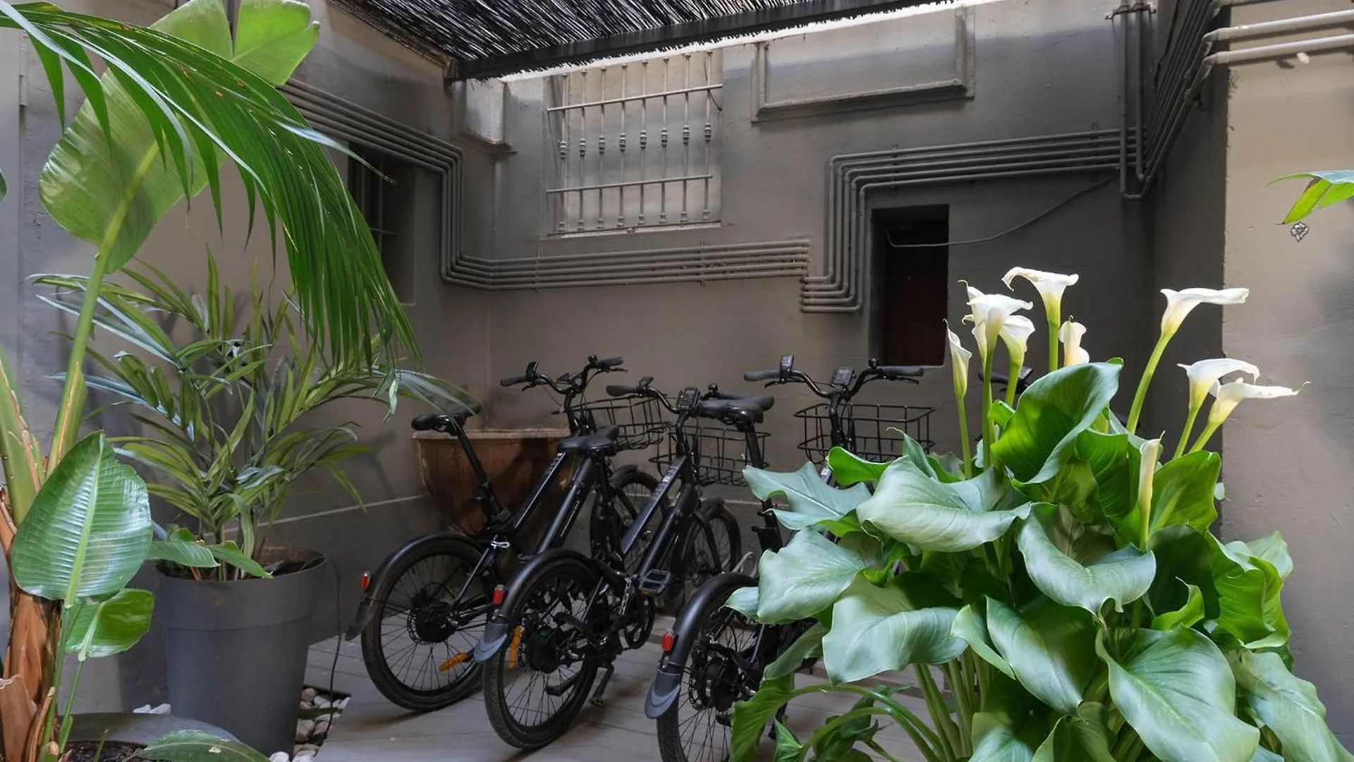 Chic & Basic Born Boutique Hotel Barcelona Espanha
